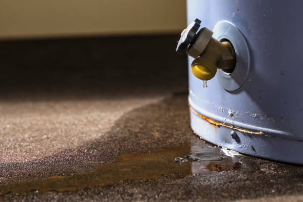 Best Water damage repair service  in Marriott Slaterville, UT
