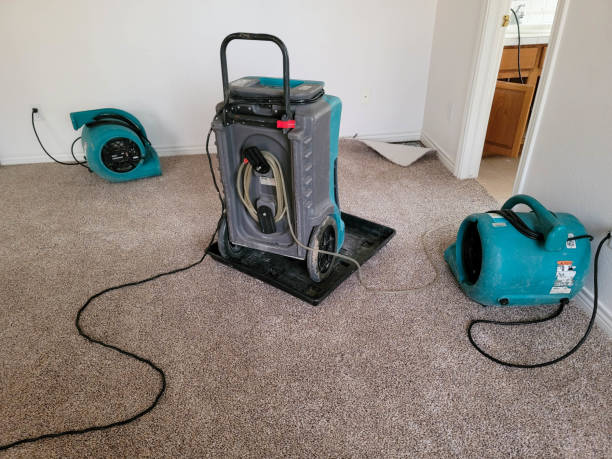 Best Sewage cleanup and water damage restoration  in Marriott Slaterville, UT