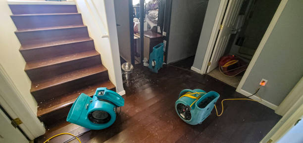 Best Water damage mitigation services  in Marriott Slaterville, UT
