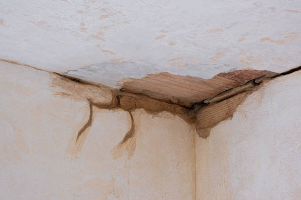 Best Sewage cleanup and water damage restoration  in Marriott Slaterville, UT