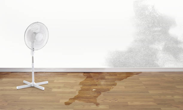  Marriott Slaterville, UT Water damage restoration Pros