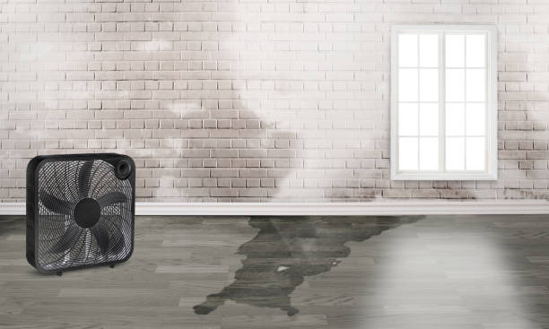  Marriott Slaterville, UT Water damage restoration Pros