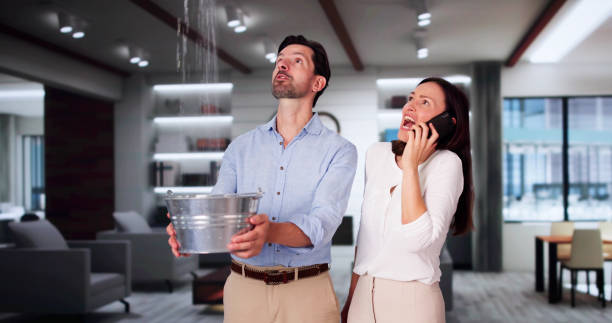 Best Water damage cleanup near me  in Marriott Slaterville, UT