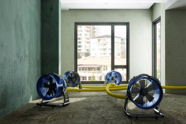 Best 24/7 water damage repair  in Marriott Slaterville, UT