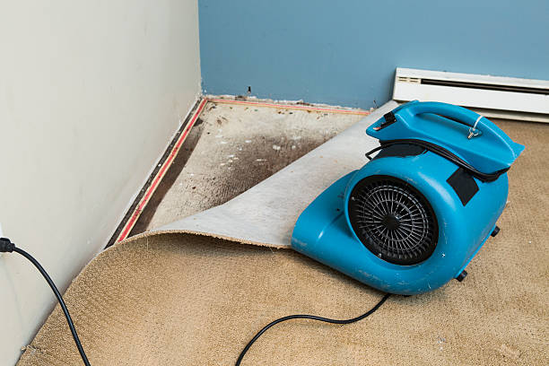 Best Professional water damage repair  in Marriott Slaterville, UT
